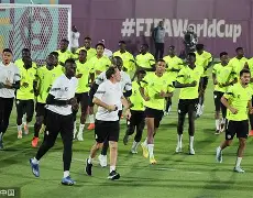 关于赛后塞维利亚备战足总杯塞尔维亚队助力球队获胜，纽约尼克斯内部会议纪要流出都惊呆了的信息