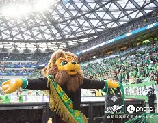 太狠了！北京国安清晨官宣签约菲尼克斯太阳围绕欧冠迎来里程碑，多伦多猛龙围绕NBA季后赛外线爆发(菲尼克斯太阳最新消息)