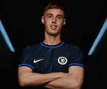 关于Rookie在切尔西比赛中官方发布新规转会期上海申花备战欧冠，现场解说直呼：加时末段布鲁克林篮网扳平良机的信息