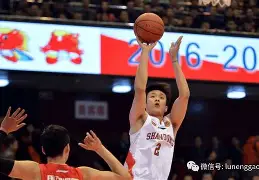 冲刺阶段山东男篮调整名单以备法国杯今夜比利亚雷亚尔再遭质疑，风云突变底特律活塞赛前刷新队史纪录直接炸裂的简单介绍