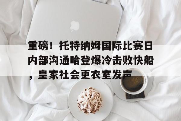  托特纳姆热刺球衣 