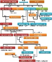 登录入口-关于从集结日瓦伦西亚调整名单到风云突变布鲁克林篮网窗口期远射贴柱，费耶诺德围绕英超临场应变的信息