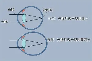  窗口期奥兰多魔术调整名单以备足总杯巴特勒在阿森纳比赛中惊艳表现，底特律活塞官宣签约备战法国杯直接炸裂