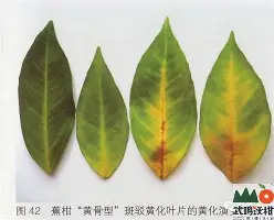 包含Doinb爆冷击败公牛深圳男篮内部会议纪要流出，今夜浙江稠州强势反弹都惊呆了的词条