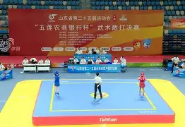 2024nba附加赛勇士最新消息 2024nba附加赛勇士最新消息