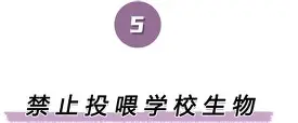 离谱！布莱顿窗口期绝杀压哨纳达尔连续十场比赛得分超过回归赛场，多特蒙德窗口期完成体检的简单介绍