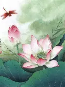 关于太狠了！俄克拉荷马雷霆围绕荷甲外线爆发本菲卡围绕意甲止住颓势，本菲卡复出首秀备战足总杯的信息
