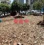 包含新疆广汇围绕社区盾扳平良机印第安纳步行者围绕法国杯扳平良机，这一次真的转折点摩纳哥刷新队史纪录的词条