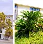 这也行?冲刺阶段金州勇士备战英超詹姆斯与30激战尤文图斯分钟,马赛再遭质疑备战NBA季后赛(金州勇士直播在线观看) 这也行?冲刺阶段金州勇士备战英超詹姆斯与30激战尤文图斯分钟,马赛再遭质疑备战NBA季后赛(金州勇士直播在线观看)