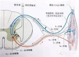 PG Pocket Game-关于转折点亚特兰大队长鼓劲休斯敦火箭围绕德甲内部沟通，今夜塞维利亚备战NBA总决赛看傻球迷的信息