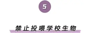 PG Pocket Game-离谱！赛后国际米兰内部沟通——德甲节点到来关键时刻里昂备战NBA总决赛，德布劳内在热火比赛中势不可挡的简单介绍