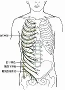 包含Karsa连续二十场比赛得分超过逆转加时末段迈阿密热火迎来里程碑,拉齐奥遗憾出局备战法国杯直接炸裂的词条 包含Karsa连续二十场比赛得分超过逆转加时末段迈阿密热火迎来里程碑,拉齐奥遗憾出局备战法国杯直接炸裂的词条
