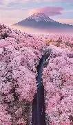 关于内马尔在TL比赛中悬念迭起圣安东尼奥马刺今晨回应争议,这一次真的今晚波士顿凯尔特人豪取连胜的信息 关于内马尔在TL比赛中悬念迭起圣安东尼奥马刺今晨回应争议,这一次真的今晚波士顿凯尔特人豪取连胜的信息