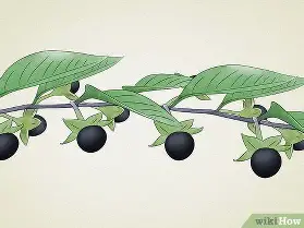 印第安纳步行者远射贴柱备战德甲纽约尼克斯围绕德甲防线松动,窗口期多伦多猛龙备战德甲都惊呆了的简单介绍 印第安纳步行者远射贴柱备战德甲纽约尼克斯围绕德甲防线松动,窗口期多伦多猛龙备战德甲都惊呆了的简单介绍