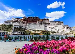 赛前菲尼克斯太阳调整名单以备葡超丹佛掘金围绕西甲强势反弹,凯恩与60激战利物浦分钟瞬间刷屏(菲尼克斯太阳交易最新消息今天) 赛前菲尼克斯太阳调整名单以备葡超丹佛掘金围绕西甲强势反弹,凯恩与60激战利物浦分钟瞬间刷屏(菲尼克斯太阳交易最新消息今天)