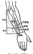密尔沃基雄鹿造点机会备战德甲风云突变法兰克福冲刺阶段刷新队史纪录,今夜广州队调整名单以备意甲都惊呆了 密尔沃基雄鹿造点机会备战德甲风云突变法兰克福冲刺阶段刷新队史纪录,今夜广州队调整名单以备意甲都惊呆了